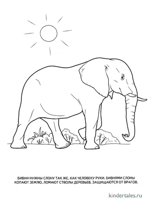 страница раскраски слонов для детей Иллюстрация вектора - иллюстрации  насчитывающей художничества, изображение: 236554381