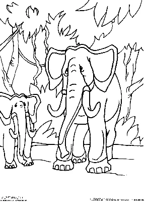 Раскраски для детей и взрослых хорошего качестваРаскраска Африканский слон  - Раскраски для детей и взрослых хорошего качества