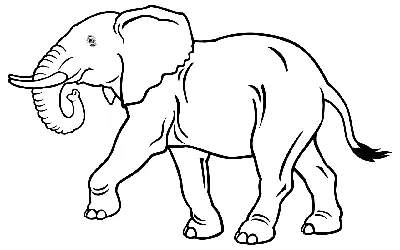 Взрослый слон — раскраска для детей. Распечатать бесплатно.