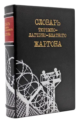 Школьный универсальный комплексный словарь. Все словари сразу: литературные  примеры, нормы употребления в речи, подсказки - купить с доставкой по  выгодным ценам в интернет-магазине OZON (175586252)