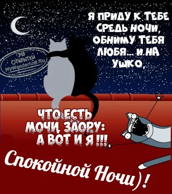 🌃 Ночь набор смайликов — Копировать и Вставить