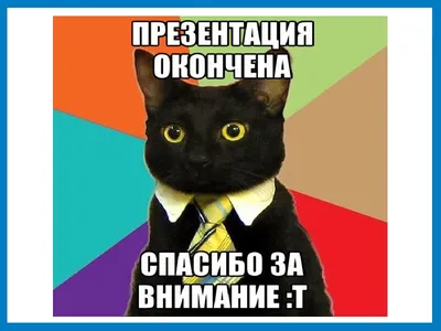 Юмор на слайдах. Часть 2: смешные последние слайды презентаций | Смешной  чудак, Смешные мемы, Смешно