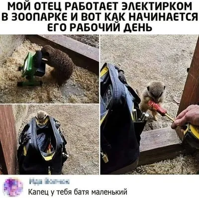 Электрики прилетели\" - Приколы в фэйсбуке | Facebook