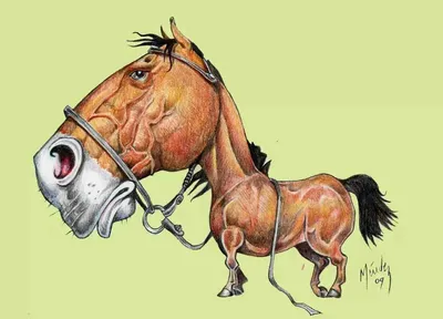 [79+] Смешные картинки лошади нарисованные обои