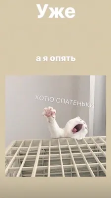 прикольные обои на ваш телефон｜TikTok Search