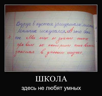 Почему молодые учителя не идут работать в школы: откровения начинающих  специалистов - 27 мая 2021 - НГС24