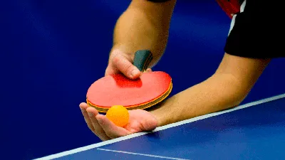 Набор для настольного тенниса 2 ракетки, 3 мяча с чехлом donic mt-788486  ping pong — цена 925 грн в каталоге Настольный теннис ✓ Купить товары для  спорта по доступной цене на Шафе | Украина #145234961