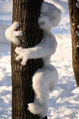 [79+] Смешные картинки о зиме обои