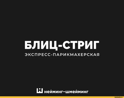 Купить Юмор Ложка Африканские волосы Черная собака Плакат Домашнее животное Салон  красоты Парикмахерская Стена | Joom