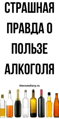 Алкогольные напитки: истории из жизни, советы, новости, юмор и картинки —  Все посты, страница 98 | Пикабу