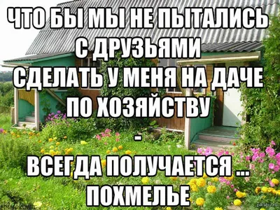 Дача: истории из жизни, советы, новости, юмор и картинки — Все посты |  Пикабу