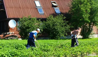 RMNT.RU - Дачный сезон традиционно открывается весной, но именно летом на  даче происходят самые интересные, приятные события, объединяющие всех  членов семьи. Мы выбрали для вас самые яркие фото, связанные с дачным  времяпрепровождением.