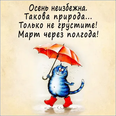 Вечно недовольные погодой | Cartoons comics, Comics, Funny photos