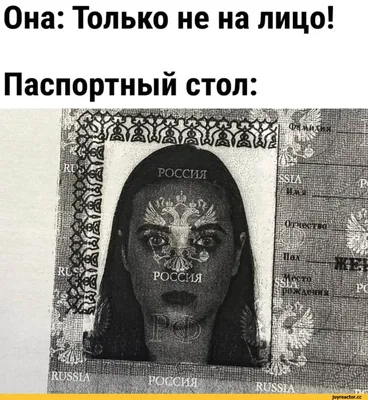 Смешные фотографии - Фотохронограф