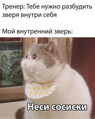 Мемы - Голод - не тётка | Facebook