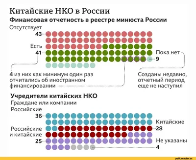 В Китае новорожденные смешные панды впервые появились на публике — Курьезы