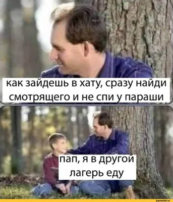 Смешные картинки про лагерь