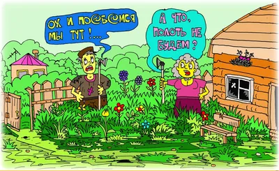 Смешные картинки про огородников обои