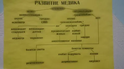 Анекдоты про студентов: 50+ смешных и свежих шуток