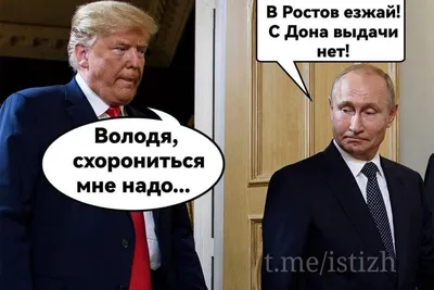 Мемы про Трампа | Пикабу