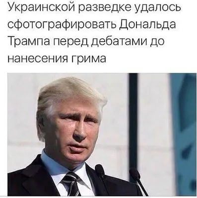 Дональд Трамп / смешные картинки и другие приколы: комиксы, гиф анимация,  видео, лучший интеллектуальный юмор.