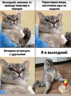 Смешные открытки про уборку