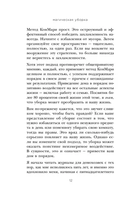 Что читать? Великолепную историю о Мега Уборке! - БлогРина Рэйн