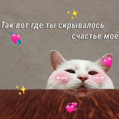 😁Утренний смешной рилс от Садового дворика😉 Всем хорошего дня👌🏻 |  Instagram