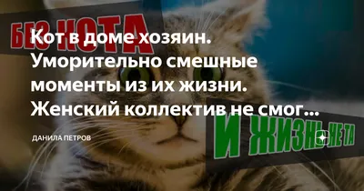 Более 100 мотивационных цитат для поощрения совместной работы в коллективе  [2023] • Asana