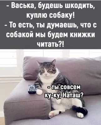 ВКонтакте назвала главные мемы года: в топе — нашумевшая аниме-нейросеть,  Мистер Исключительный и маленький чёрный котёнок | Блог ВКонтакте |  ВКонтакте
