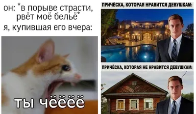 Я никогда не одеял в одиночку, у меня есть кошки! Футболка с надписью « Смешные коты» для влюбленных Летняя Хлопковая мужская футболка с круглым  вырезом и коротким рукавом Новинка | AliExpress