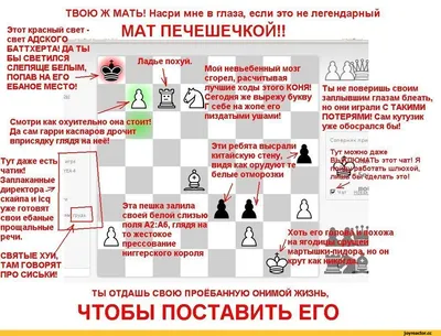 Самые смешные анекдоты про жизнь в России в картинках и без мата - подборка  первая - YouTube