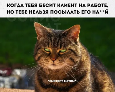 Смотреть матом) | Пикабу