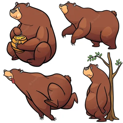 Медведь | Смешные фотографии животных, Доброе утро, Медведь