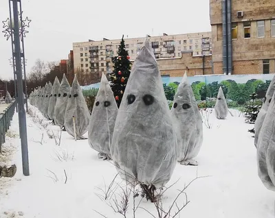 Новогодние картинки - Дед мороз на лыжах - Новый год - рождество