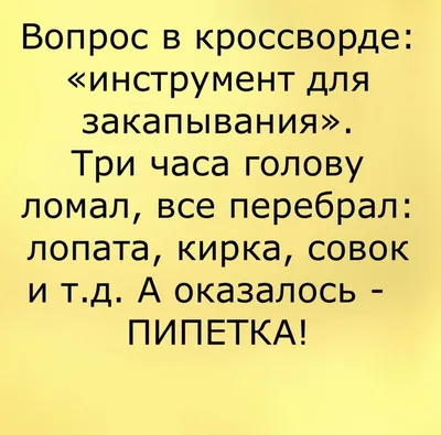 Просто смешные картинки - Смехотерапия - 14 октября - 43910294561 -  Медиаплатформа МирТесен