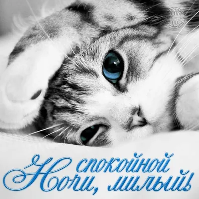 СМС спокойной ночи стихи!