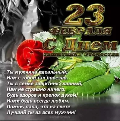 23 февраля