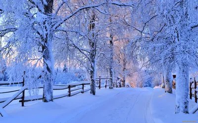Обои Природа Зима, обои для рабочего стола, фотографии природа, зима, снег,  дорога, деревья, лес, небо, пейзаж, forest, road, nature, winter, sky,  white, beautiful, cool, nice, snow, sunset, path, trees Обои для рабочего