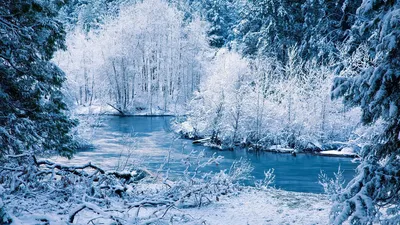 Обои зима, река, снег, деревья, пейзаж картинки на рабочий стол, фото  скачать бесплатно