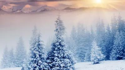 Картинка на рабочий стол зима, снег, деревья, солнечные лучи 1920 x 1080