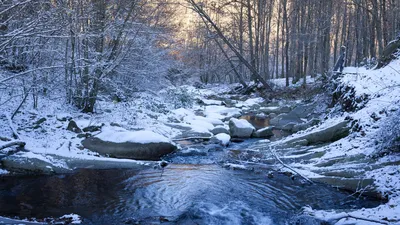 Обои ручей, камни, снег, деревья, зима картинки на рабочий стол, фото  скачать бесплатно