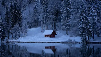 Обои озеро, лес, снег, зима, деревья картинки на рабочий стол, фото скачать  бесплатно