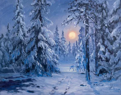 Снежный лес ночью - красивые фото