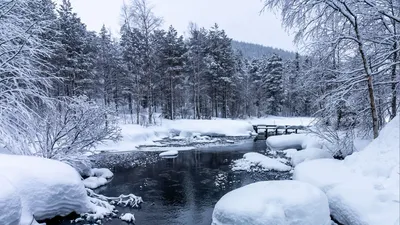 картинки : дерево, лес, гора, снег, холодно, зима, мороз, горный хребет,  Погода, горнолыжный спорт, время года, зимний вид спорта, виды спорта,  обувь, Трасса, Снежный пейзаж, Кристаллы, Лыжное снаряжение, Снежное небо,  Геологическое явление