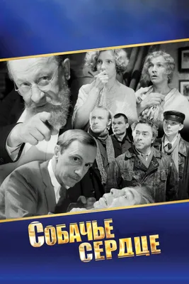 Собачье сердце, 1988 — смотреть фильм онлайн в хорошем качестве — Кинопоиск