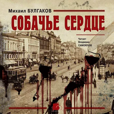 Фильм «Собачье сердце» 1988: актеры, время выхода и описание на Первом  канале / Channel One Russia