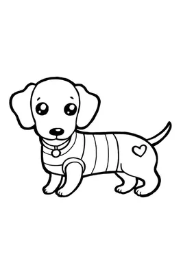 Легкий рисунок собачки поэтапно (50 фото) » рисунки для срисовки на  Газ-квас.ком