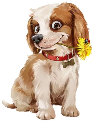 Картина по номерам на холсте Милая собачка (для начинающих, для детей) -  9127 В 20x30 - купить с доставкой по выгодным ценам в интернет-магазине  OZON (562808966)