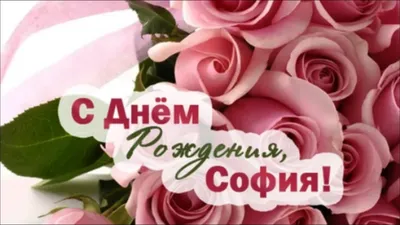 С днём рождения Софья#рек #софья#софия #соня #happybirthdaytoyou #bir... |  TikTok